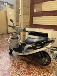 ماكس منغولي • مكفوله • سعر خاص