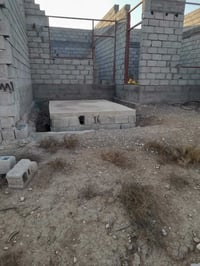 شاقراق بين النهرين • ٣٠٠م • بئر ماء