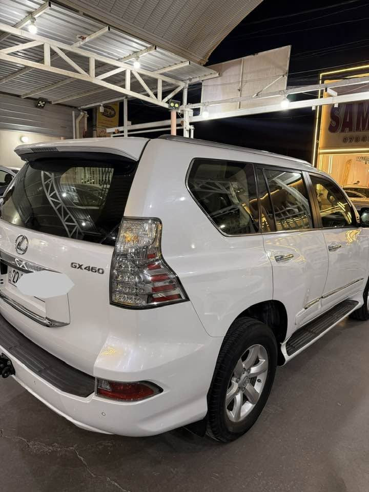 لكزز GX 4600 خليجي 
محرك 8 سلندر 
موديل2019 
مكفولة من بارد صبغ وتبديل و فتح حتة دعاميات و شخوط 
بصمات 2 
رقم اربيل بسمي تحويل   وكالة 
مواصفات 
جكات جوبلس
كيجات الكتروني 
شاشات عدد 3
كشن ذاكرة 
ستيرن كهرباء 
لايت 4 عدسات زنون 
فتحة بل سقف 
سيارة فول مواصفات
للاستفسار اتصال 

***********
