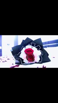 #تصوير_ريلز_زواج_الاخ (((صفاوي ال جهاد ))) #المصور_عبودي_الصافي_078388...