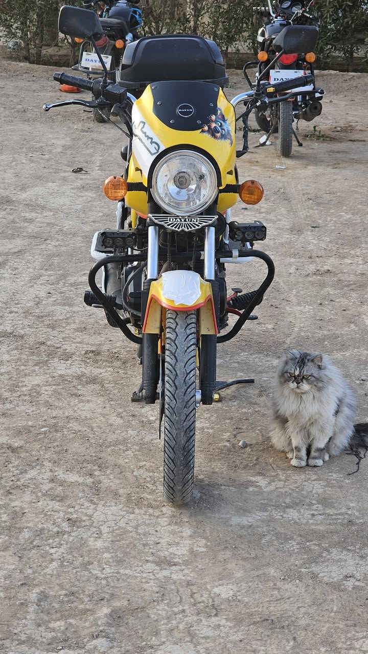 سلام عليكم دراجة البيع دايوان 2024وراق سكر دراجة كل نقص ما بيهة دراجة خير من الله مكان صويرة شارع عشرين 
***********♡♡♡*********** تواصل خاص او نتصل 📞
