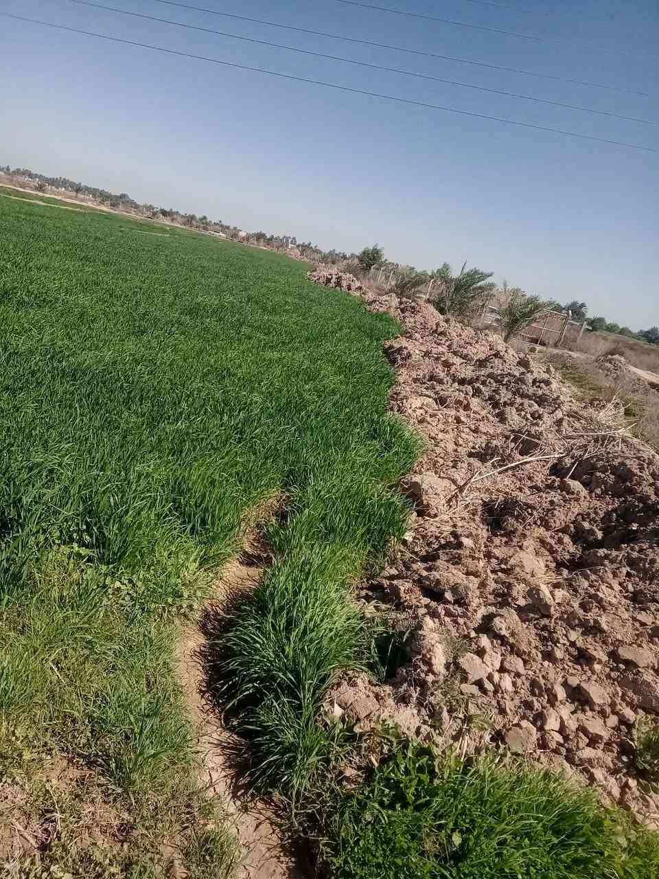 السلام عليكم أرض زراعية للبيع 40 دونم متوفر ماء تبعد عن الشارع العام 400 متر مع قطاسات وكهرباء متوفرة مع غرفة
تفاصيل اكثر
الرقم ***********
