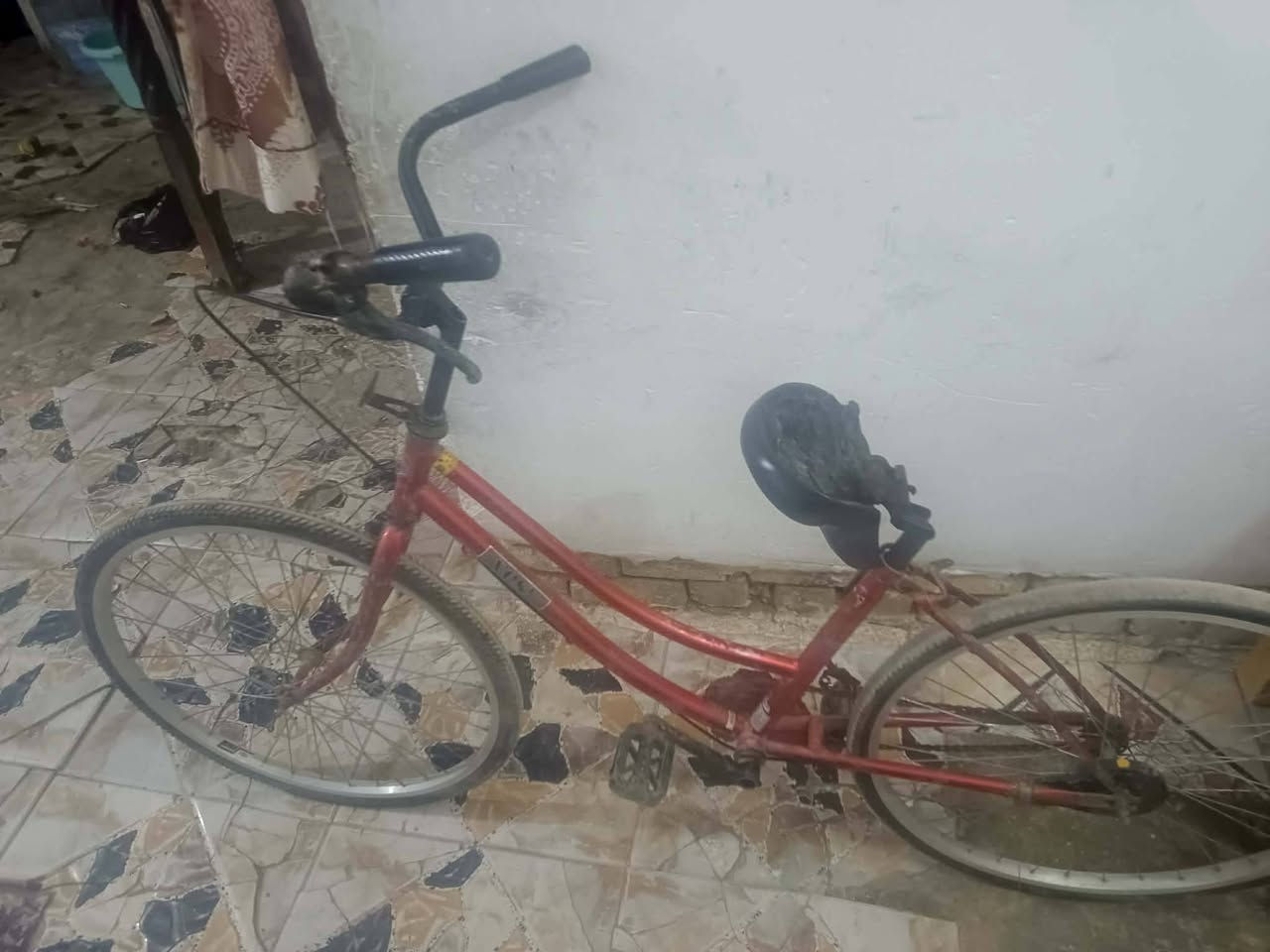 بايسكل للبيع ب40قفل


**إذا كنت صاحب هذا الإعلان وتريد حذفه لأي سبب، رجاءا أرسل رسالة إلى الدعم الفني**