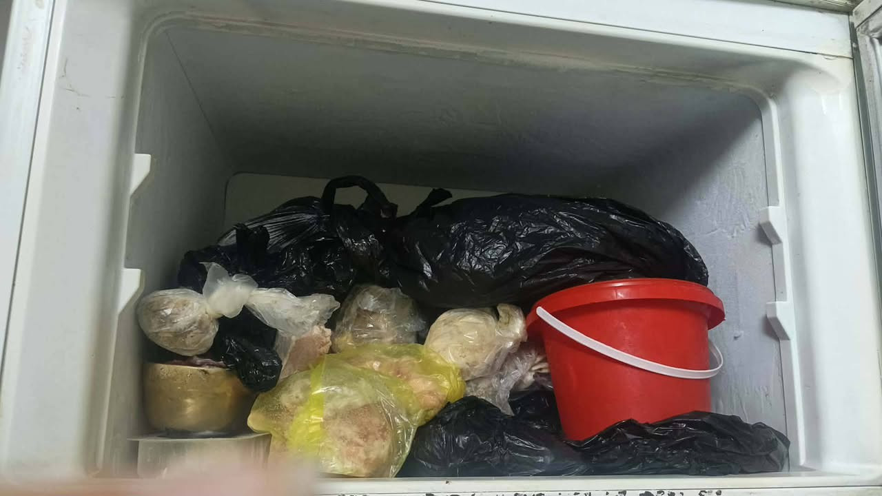 للبيع ثلاجه جبيره سعر ١٢٥ بيه مجال بسيط تجميد فوك امانت الله مكان شعله قطاع سابع


**إذا كنت صاحب هذا الإعلان وتريد حذفه لأي سبب، رجاءا أرسل رسالة إلى الدعم الفني**