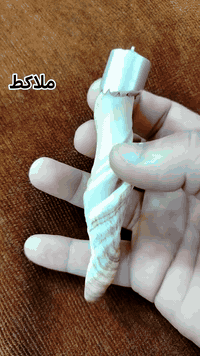 ملاكط ملوي عطف قديم
وتساب*********** او خاص
 @إشارة
