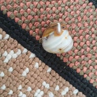 سليماني • مصور