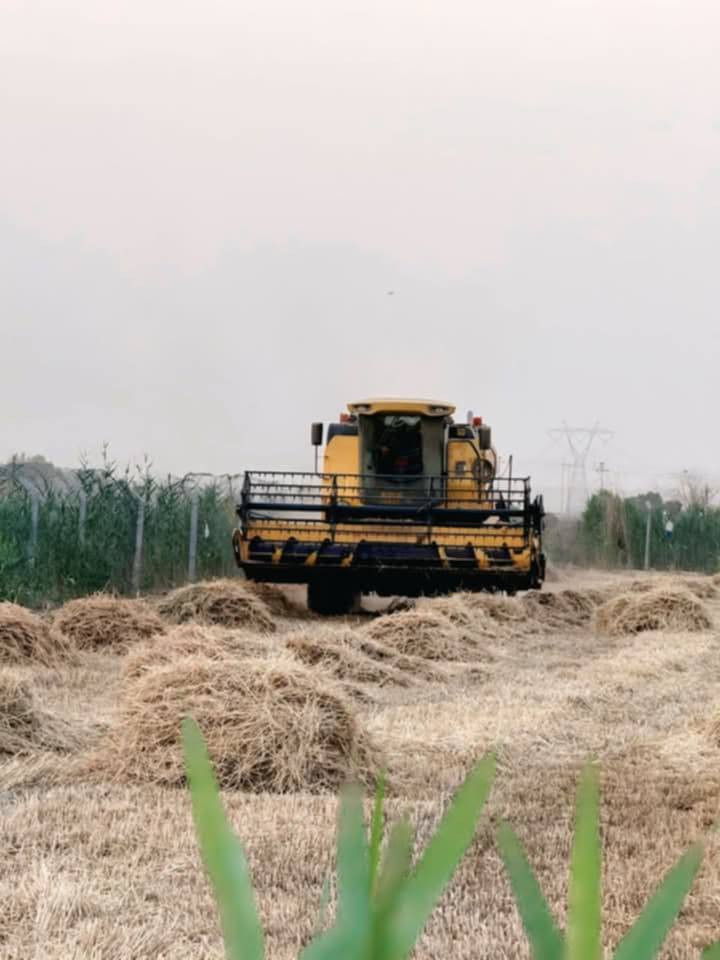 سلام عليكم حاصوده موديل 2020 مكفوله للبيع للتصال علا الرقم *********** 
مكلف بل نشر
