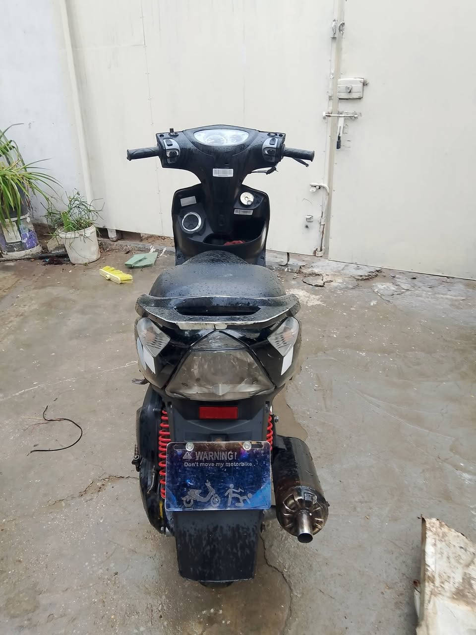 ثعلب بلادي.نوزل.اريد مراوي
***********
