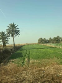 سلمان باك • ١٢ دونم • سند ٢٥