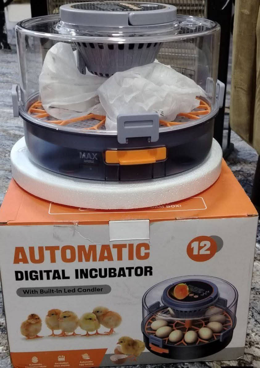 حاضنة بيض رقمية أوتوماتيكية بسعة 12 بيضة. 
تتميز بتحكم تلقائي بدرجة الحرارة والرطوبة.
تتضمن قلبًا تلقائيًا للبيض بزاوية 360 درجة كل ساعتين تقريبًا.


**إذا كنت صاحب هذا الإعلان وتريد حذفه لأي سبب، رجاءا أرسل رسالة إلى الدعم الفني**
