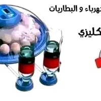 خاص لفترةةة محدودةةة مشروع صغير بتكلفه بسيطه تربيه الدواجن هوايه جميله...