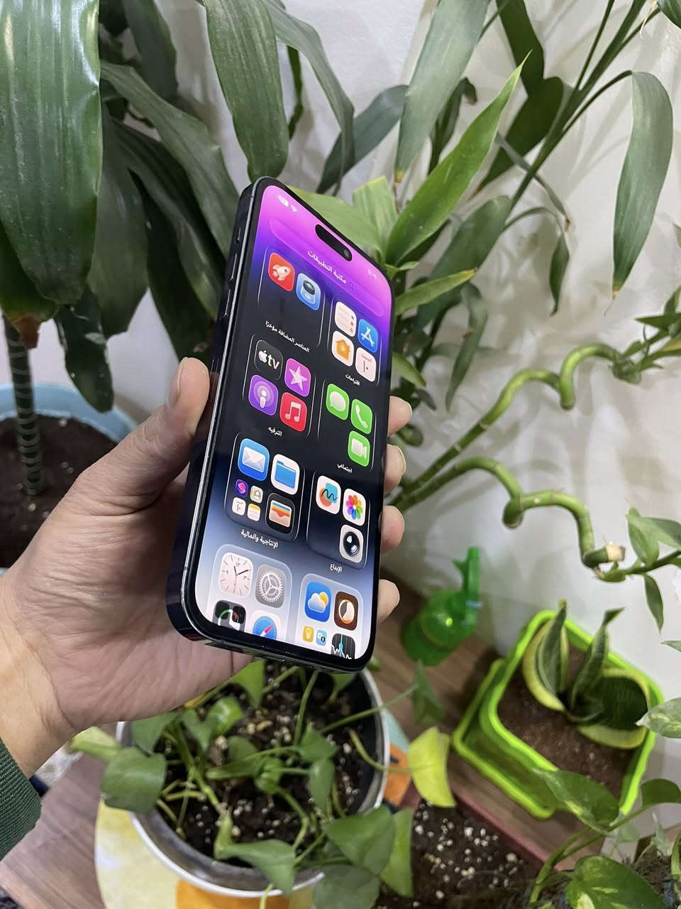 14 برو ماكس ماستر ذاكره 256 بطاريه 90 معلايه شلت النسبه ورجع بلادي مالته 76
مبدل شاشه فقط 

 وضهر ممبين مبدل بس للامانه حض وبخص 

مخليله لاصق 17 برو ماكس 

فيس ايدي شغال مكفول كامل من جميع نواحي صوت اتصال كله جاهز وكامل 

575 الف 

بغداد الدوره 

***********
