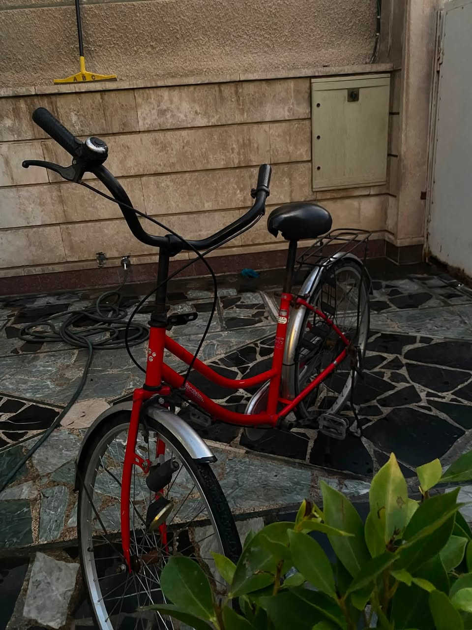 بطه بناتي نضيف البايسكل يفيد جماعه الجمباز وممستعمل هواي بريكاته امامي وخلفي وتايرات جدد 

مكان بالامين الثانيه المعلمين

سعره 110 الف وبي مجال 

شراي تواصل هنا ***********
