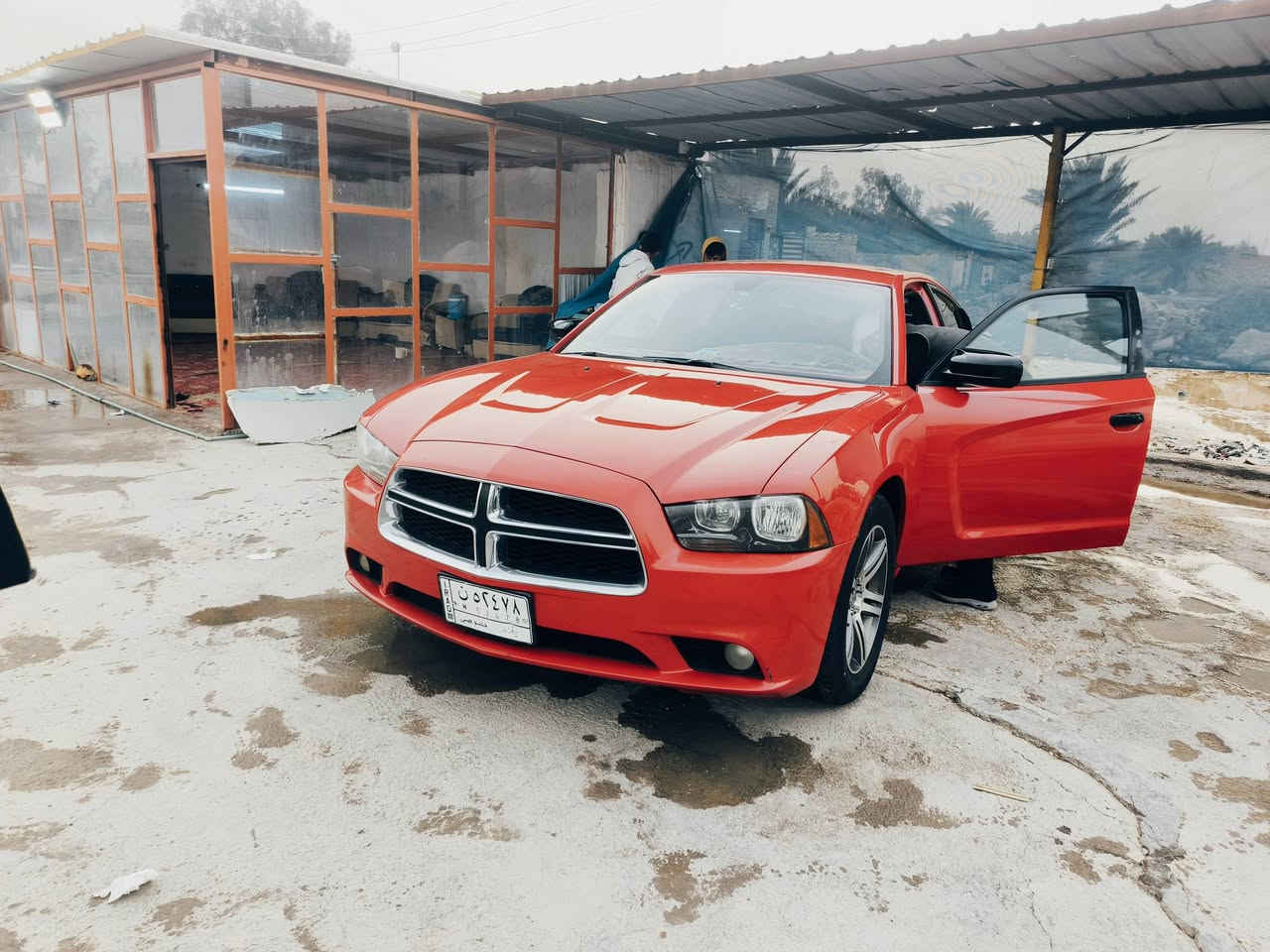 السلام عليكم دوج شارجر لبيع مديل 2013 خليجي كفاله عامه من الصبغ والضربه تخم تاير جديد حداديه امامي وخلفي جديده كير ومكينه شرط النضافه مكينتها 3/6 شرط النضافه "
موصفات؟ 
شاشه جبيره
تحكم استيرن
بصمه
شفتات استيرن
كير طياره ٨ نمر
منضومه زنون عالي وناصي 
كشنات حضن جلد 
تحكم كشنات كهربائي
ويل 18 خليجي
لون ماروني
مكانها الدوانيه الحمزه الشرقي
السعر 189 وبيها مجال
رقم الهاتف ***********
ملاحظة مكلف بلنشر اتصل وبيك خير وتدلل
