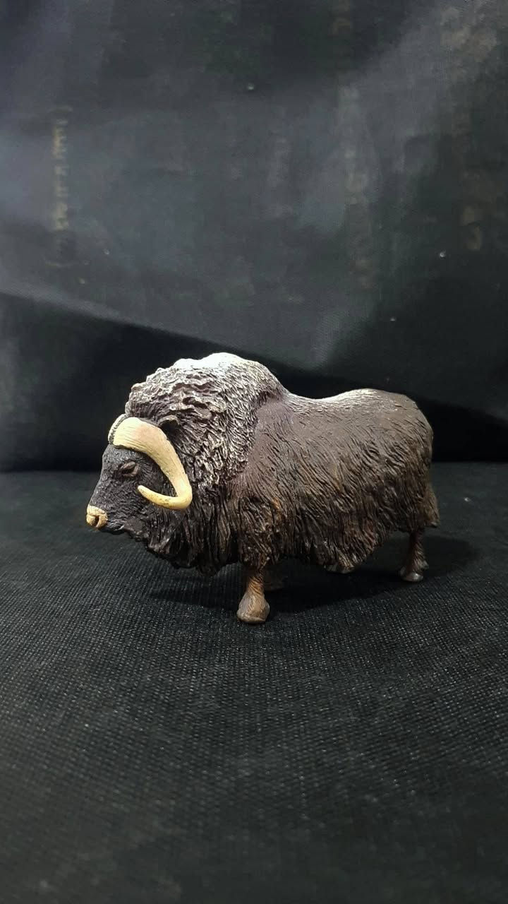 متوفر  قطعتين شلايش وحده papo  🌱🤍


**إذا كنت صاحب هذا الإعلان وتريد حذفه لأي سبب، رجاءا أرسل رسالة إلى الدعم الفني**