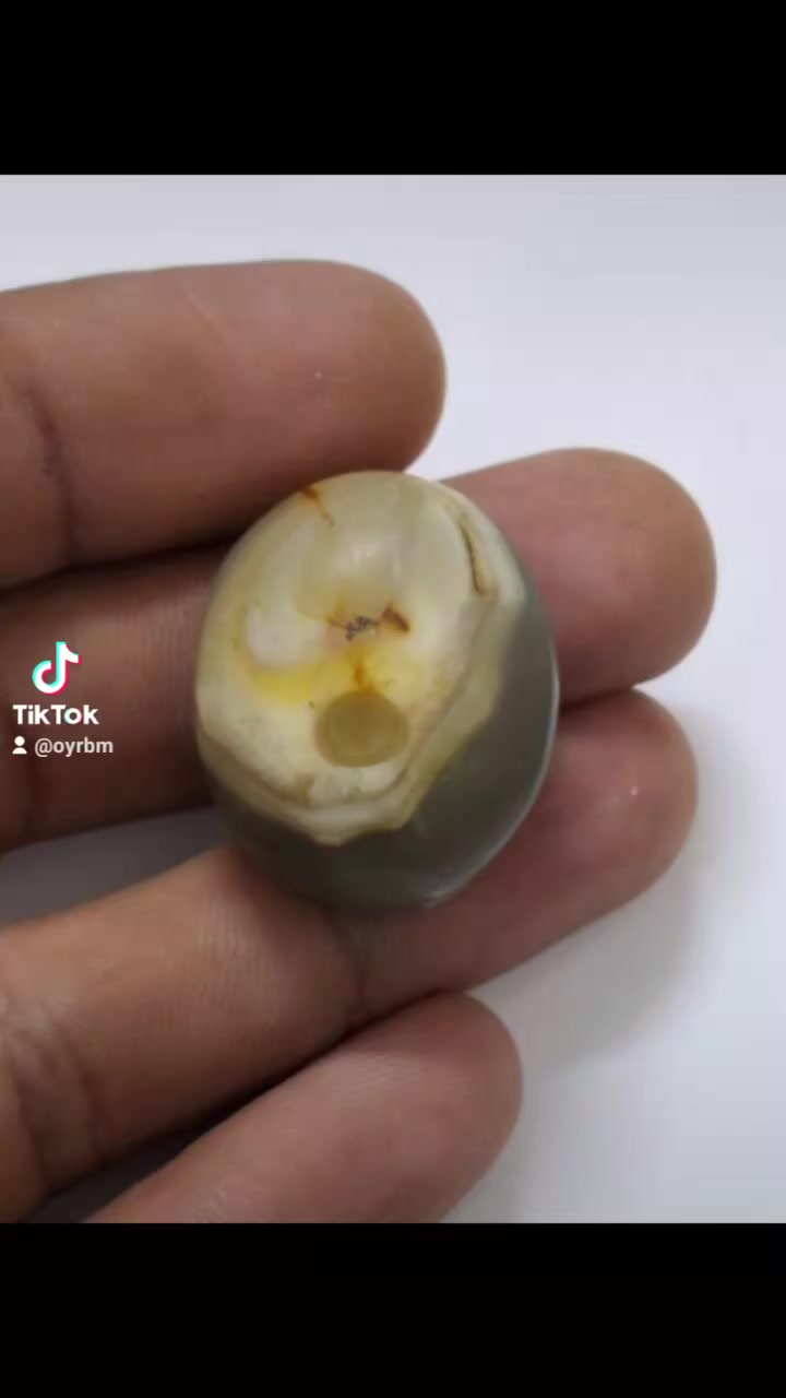 البيع راسني وتدلل***********
