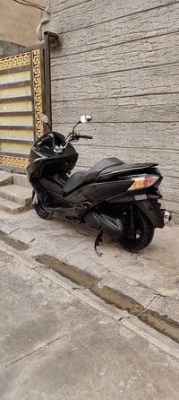 كفاله عامه • لايت زينون • جلولاء ديالى