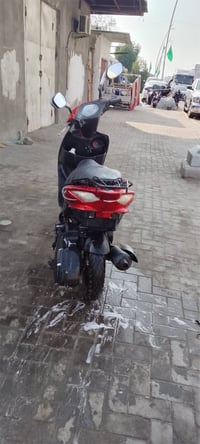 ثعلب • كوري • مامفتوحه