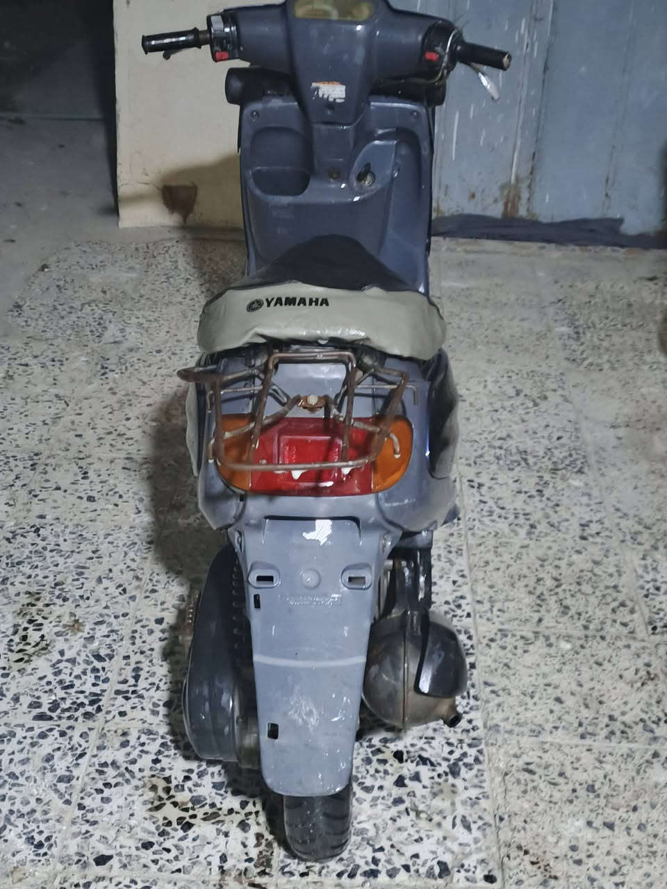 منغولي ام السله للبيع ***********
