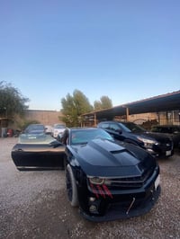 مراوس • الكمارو • ٤ بيبان