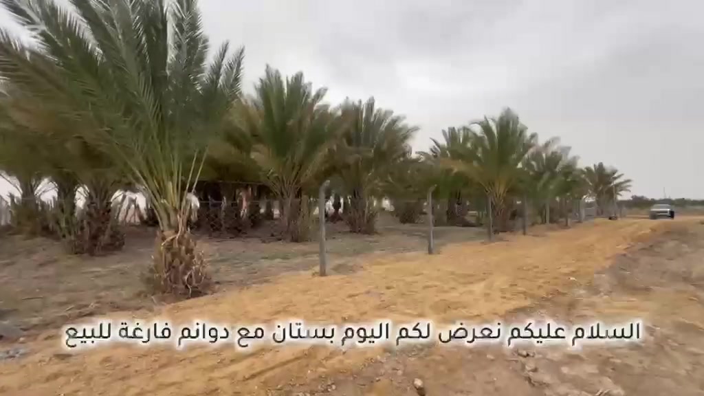 بسم الله الرحمن الرحيم 
 فرصة استثمارية للبيع دونمين في منطقة المعموره طابو صرف خلف سميع 
🔘الدونم الاول يحتوي على 117 نخلة عامره ومن الأصناف الجيدة والراقية وايضاً يحتوي الدونم الاول على بير كامل وشغال
🔘الدونم الثاني يحتوي على بيت جاهز 
ويحتوي ايضاً على بير كامل وشغال 

🔘بقية الدوانم الي امامكم بالفيديو 
مبيوعه ولله الحمد🙏🏻

للاستفسار اكثر مراسلة الصفحه او الاتصال على الرقم ***********
