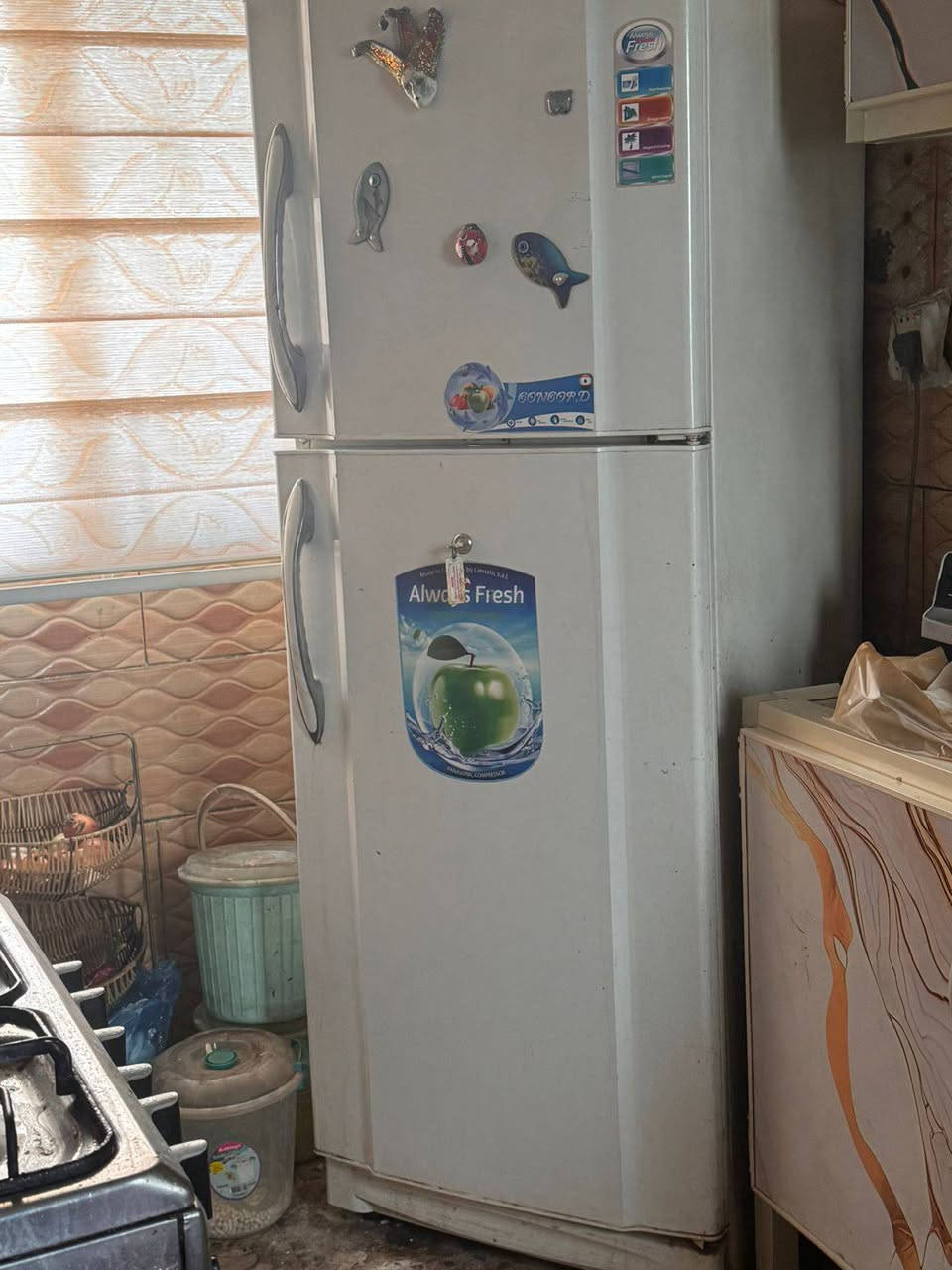 السلام عليكم ثلاجة كونمورد 16 قدم
شغالة وتبريدها مابي مشكلة بيها ليك بالفريز ومتصلح ومابيها اي مشكلة بالتبريد 
فريز خارجي رايدها 200 وبيها مجال مكانها بشارع الضغط 
***********
