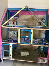 قفص كناري • طيور • للبيع