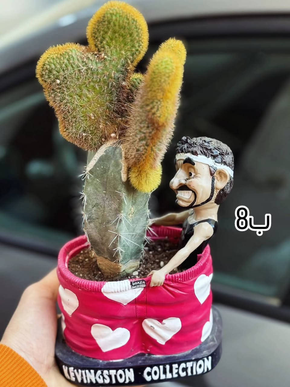 متوفر توصيل جميع محافظات العراق 🚕
لأي استفسار أو طلب راسلنا خاص 📩


**إذا كنت صاحب هذا الإعلان وتريد حذفه لأي سبب، رجاءا أرسل رسالة إلى الدعم الفني**