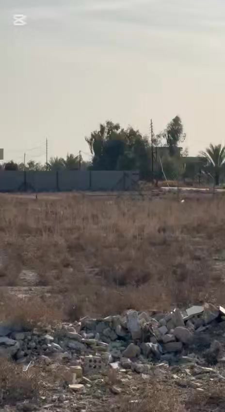 السلام عليكم ورحمة الله وبركاته مزرعه كاملة للبيع الواجهة 38 م نزال 63 متر  محاط بسياج كامل ارتفاع 260 سم ويحتوي على منزل 100 متر واجهة 19 متر نزال 6متر كامل جاهز للسكن مزروع ثيل كل المساحة و يحتوي على مسبح 18 في 6 م كامل شغال  ويحتوي على مكان مواشي مساحة 5 متر في 15 متر واصله كهرباء وماء إسالة وبير ومؤسس كامل الدونم منظومة مرشات
علما ان الدونم عقد 117 
المزرعه في منطقة سكنية زراعي السلاميات
السعر ١٥٠ مليون نهائي 
(( غير متواجد على الفيس او المازنجر ))
للتفاصيل والاستفسار الاتصال على الرقم  
‏‭ 
 ***********
