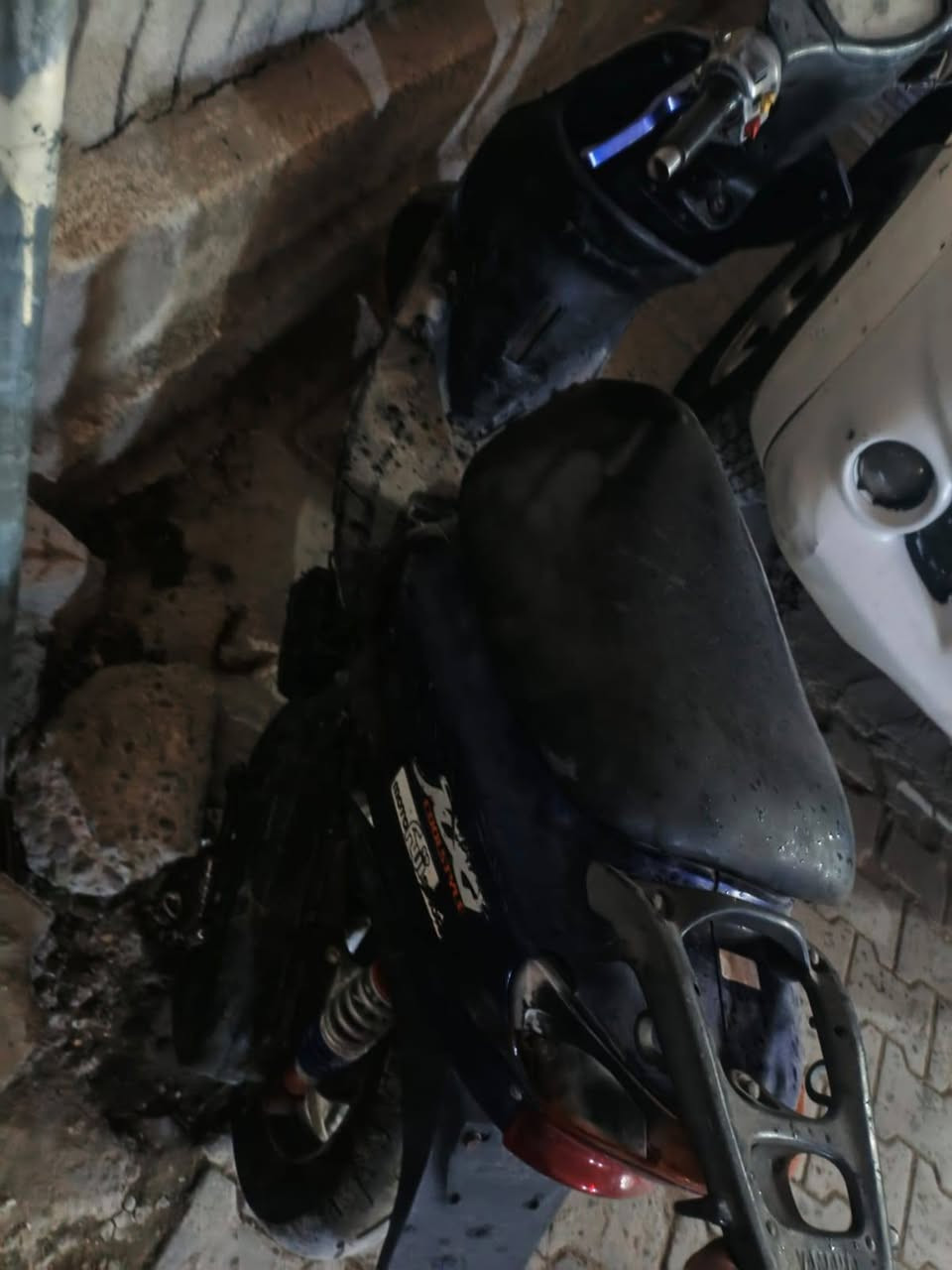 السلام عليكم دراجة عصفوري للبيع كوم حديد السعر ٨٠ بية مجال مكاني الحرية ***********
