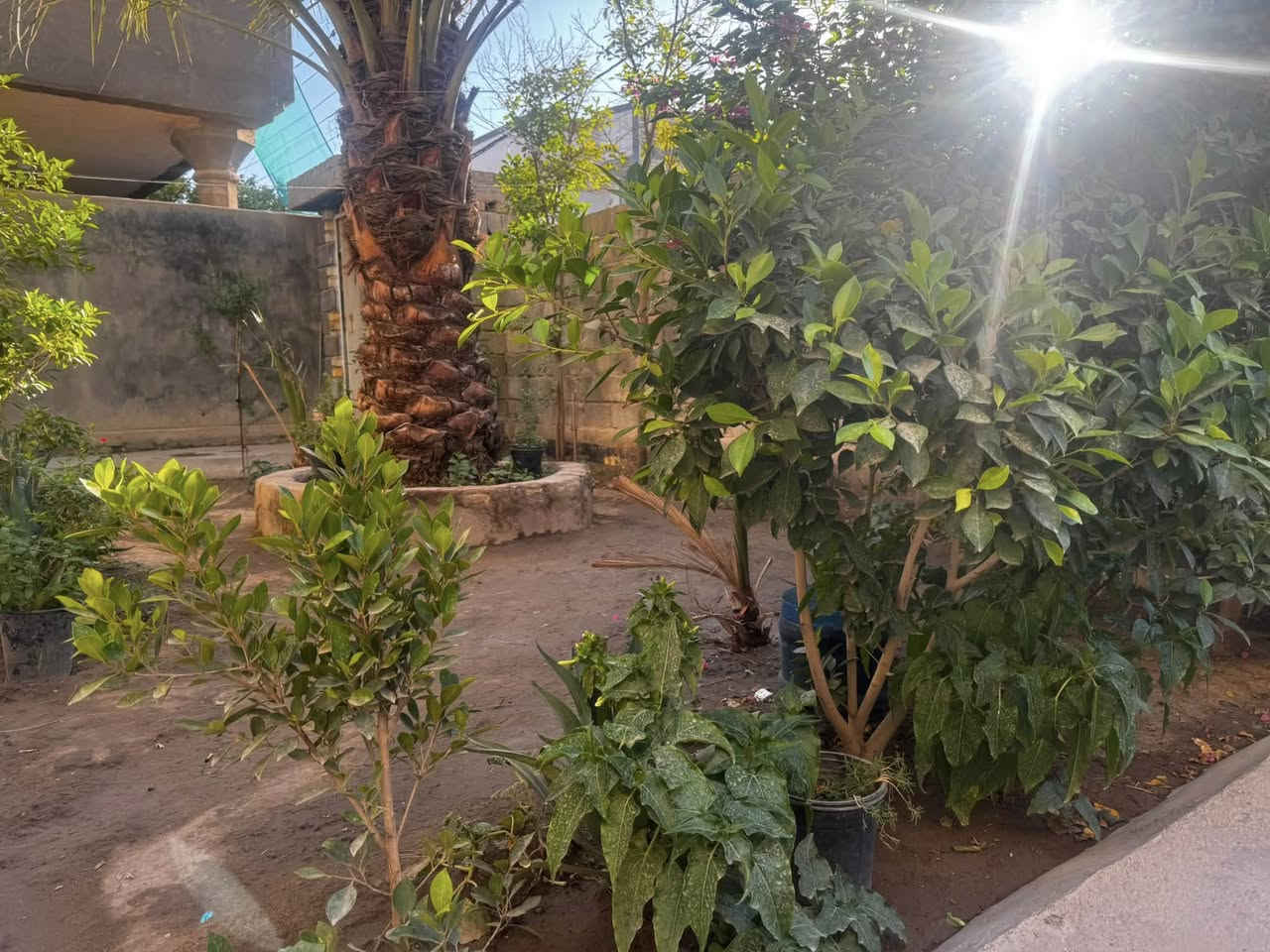 يالله السلام عليكم يعلن مكتب الخبير للعقار عن وجود دار طابو زراعي سند 25 مساحته 200متر 
بناء طابوق مسلح 
مكوناته 
حديقه كراج سياره 
غرفه نوم واحده
استقبال 
صاله 
مطبخ 
صحيات داخليه وخارجيه
موقع الدار شارع بيت غظيب قرب المولده الخظره 
السعر. 86مليون بي مجال بصيط
الاتصال  ***********

