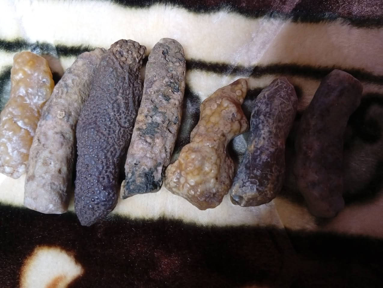 السلام عليكم هذني عروكه كديمات عدنه كلش مغربيات كلش قويات شلع ابيع مابيع مفرد السعر خاص العلوان بغداد توصيل موجود تحياتي


**إذا كنت صاحب هذا الإعلان وتريد حذفه لأي سبب، رجاءا أرسل رسالة إلى الدعم الفني**