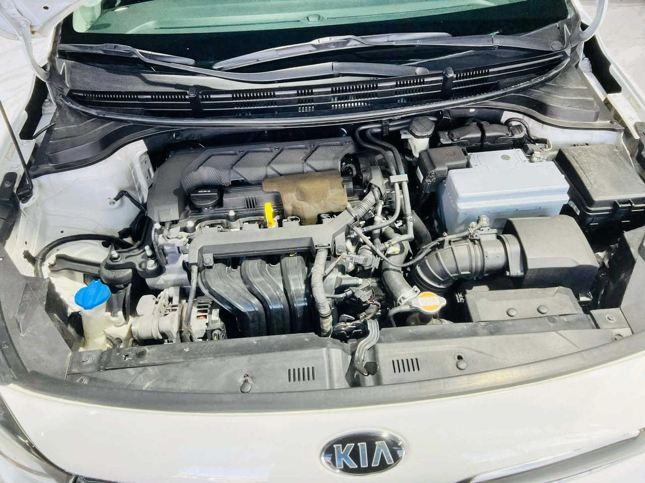 كيه موديل ٢٠٢٠ 
ضرار بوند 
بدون ايرباك السعر ١١٨و بيها مجال


**إذا كنت صاحب هذا الإعلان وتريد حذفه لأي سبب، رجاءا أرسل رسالة إلى الدعم الفني**