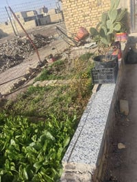 الفضليه شارع المحطه • ٢٥٠م • طابو