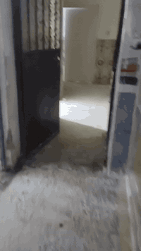 بيت للايجار عنوان بغداد جديده شارع مسبح خلف فوج طؤرى.   مكتب اسد بغداد...