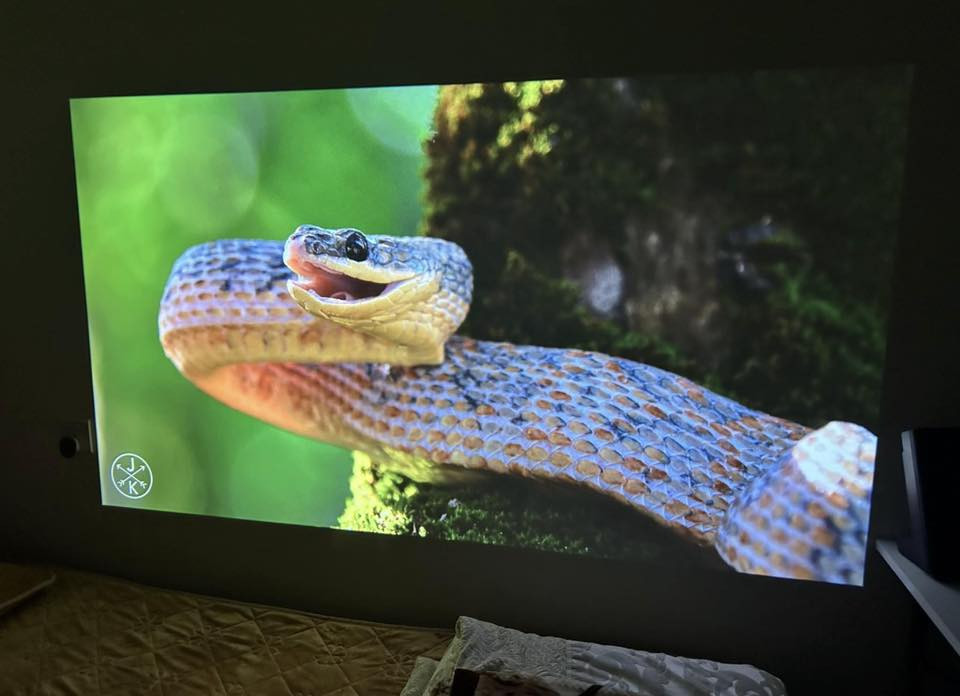 بروجكتر أوروبي جديد – TOPTRO X7 🎥

يتوفر لدينا بروجكتر مميز من ماركة TOPTRO الأوروبية موديل X7، بجودة عالية وتصميم أنيق، مناسب للبيت، مشاهدة الأفلام، والألعاب.

المواصفات والمميزات:
• يدعم جودة عرض عالية HD مع دعم 4K
• صورة كبيرة وواضحة مناسبة للسينما المنزلية
• صوت مدمج قوي ونقي
• منافذ متعددة مثل HDMI و USB لربط الأجهزة بسهولة
• يمكن ربطه مع الموبايل واللاب توب وأجهزة الألعاب
• استهلاك طاقة منخفض وعمر عدسة طويل
• تصميم حديث وخفيف سهل الحمل

📦 الجهاز جديد وأصلي أوروبي
💰 متوفر بسعر مناسب
📩 للحجز أو الاستفسار راسلنا على الخاص أو واتساب: ***********
