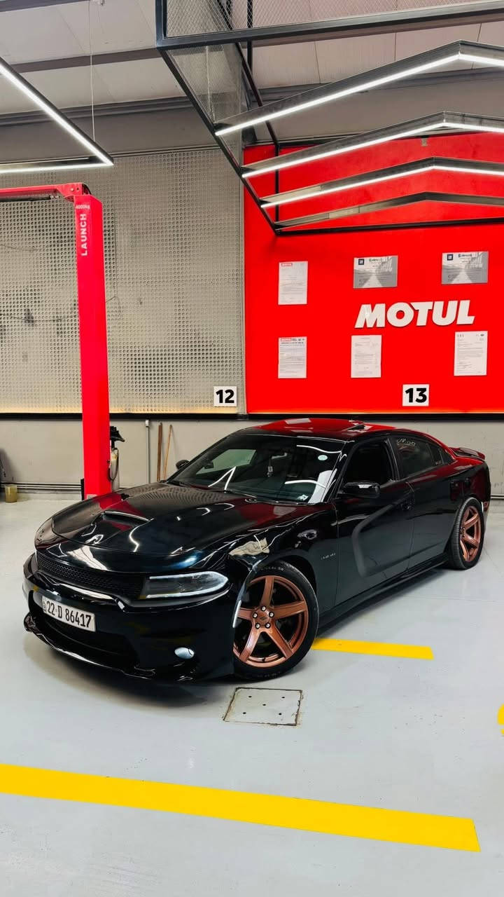 ً
السلام عليكم 
دوج جارجر 2021
RT SUPER TRACK BACK 

فتحه 
مكينه 8 سلندر 5700 
ماشيه 30 الف حقيقي 
مكينه كير حداديه تبريد تخم تاير كله جديد 
ويل نجمه تو سايز 
سياره جديده وجاهزه وكلشي ماعايزه مال جناي 
رقم اربيل تحويل او وكاله 
حادثها فقط بنيد وباردات 2 بدون دواخل شرط 
السونار بالمنشور 
السعر 235 
مكاني النجف الأشرف 
رجاءاً ذاكر كلشي بالمنشور اقراه زين واتصل مو تخابرني تسئل تكلي شبيها 
***********
***********
