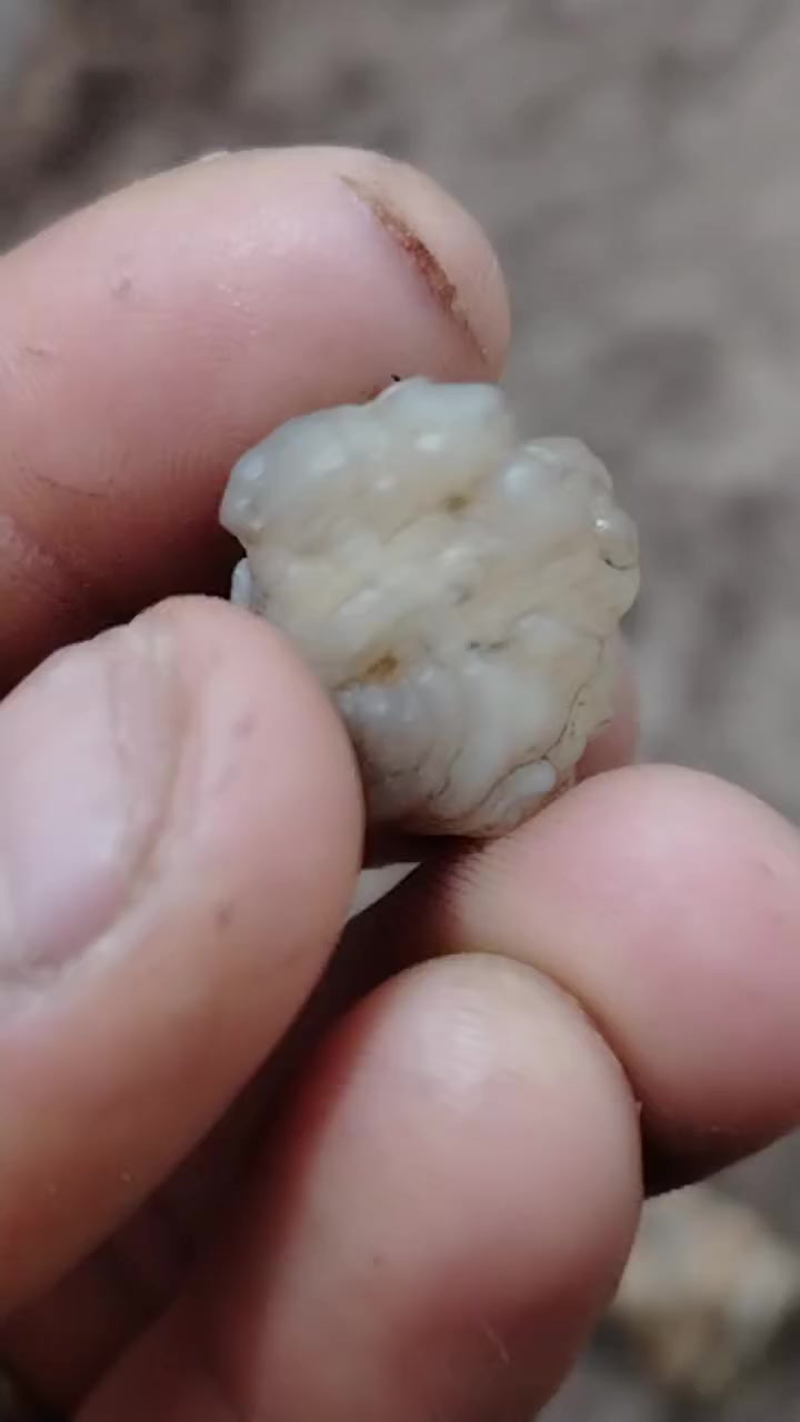 سلام عليكم مجموعه احجار عقيق قديمه  وبيهن سليماني ترهم كلايد ترهم محابس كل ثنين ب٥ م   عطف قديم رباني مشروط  سعره ٢٠ مع عطف لوي اكرر عطف لوي معروف شغله رباني شرط ذمه قديم سعره ٥٠

. كربلاء حي الوفاء *********** شارع ٢٠
