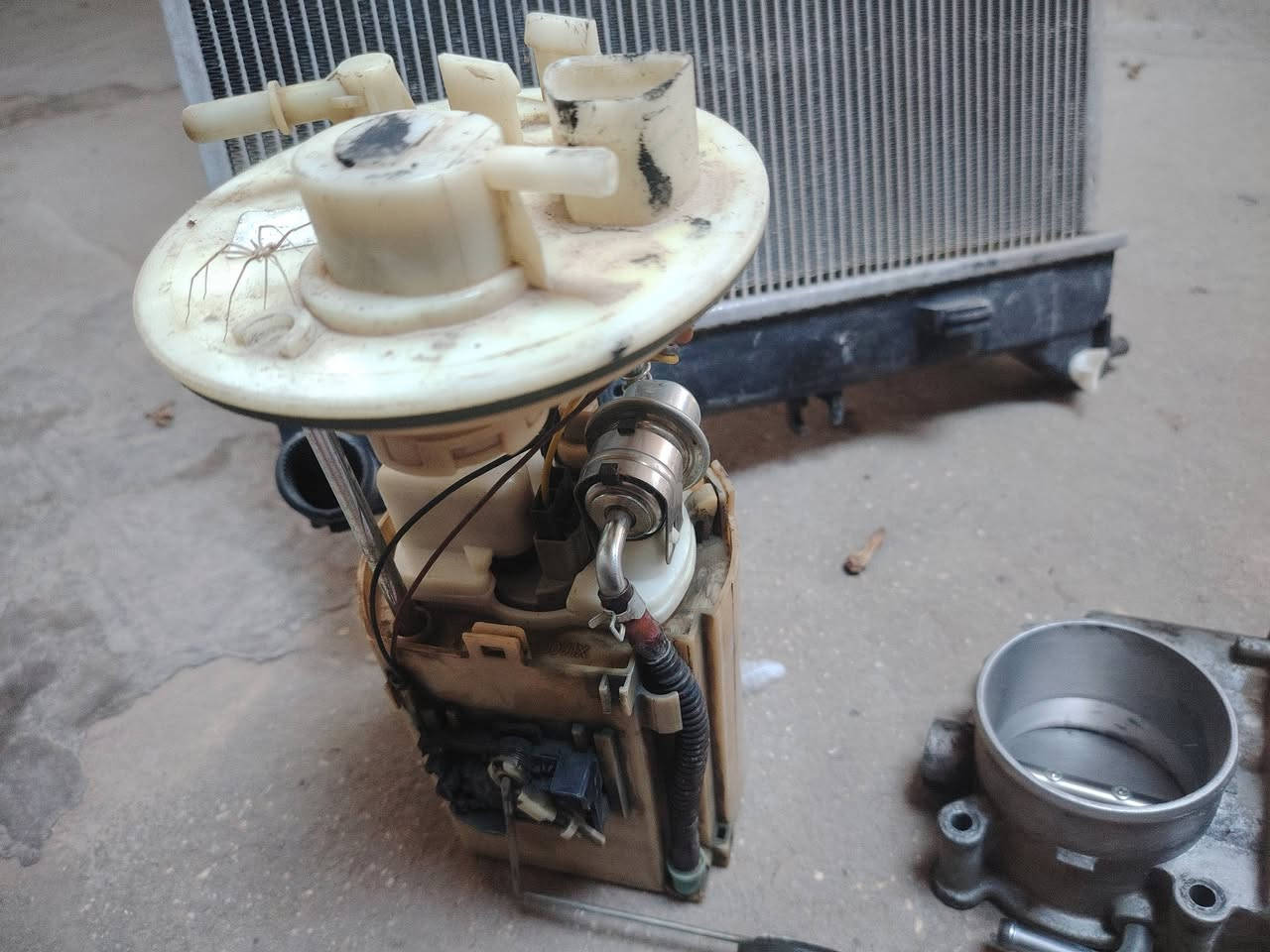 شويتر فورتي ٢٠١٩ للبيع راديتر النترا 2017 وارد أمريكي بيه ثقب للبيع 
قاعدة فيت بام كامله مال سيراتو للبيع السعر تصل ع رقم ***********
