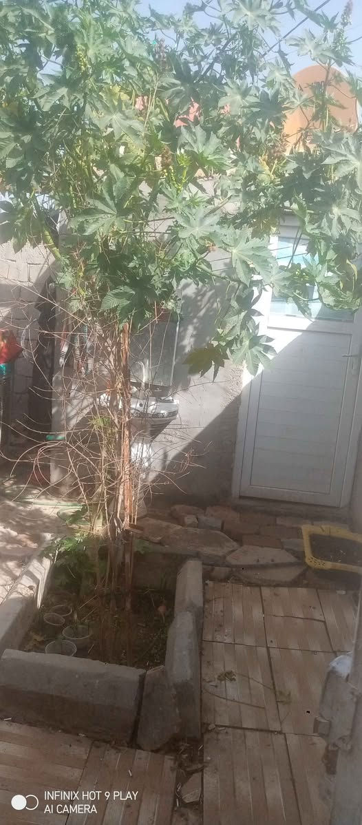 *للبيع بيت.حواسم. في الناصرية حي الحسين*

- غرفة واحدة
- مطبخ
- صالة
- منور
- حمامات
- طارمة
- بيت ركن

*المساحة:* 100 متر مربع

*الموقع:* الناصرية حي الحسين، مقابل مطعم بركات الحوراء

*السعر:* 15 مليون دينار عراقي، وبي مجال للزوار.

*للاستفسار:* يرجى الاتصال بنا على الرقم ***********. Singapore
