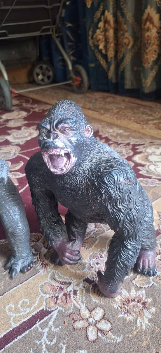 متوفر حجم ضخم


**إذا كنت صاحب هذا الإعلان وتريد حذفه لأي سبب، رجاءا أرسل رسالة إلى الدعم الفني**