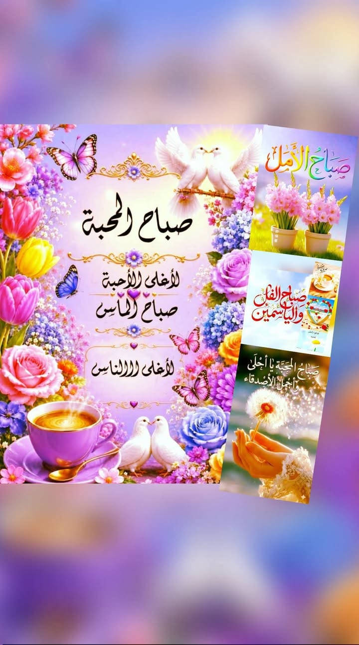 من -*-*-* فيوتـــــــــــشـــر-*-*-* للاحــــــــــــــبار -*-**-* - الاسكندرية
      اسعد   الله صباحكم -- وبارك يومكم -- ويسر امركم --وشرح صدوركم  .
ووووووووووووووووووو    وحقق الله أمنياتكم-- وفرج همومكم    *********** 
؟؟؟؟؟؟؟؟؟؟؟؟؟؟؟؟ قبل السعر اسال علــــــــــــــــــــــي ؟
///// الجودة العالية /// المعدل الحقيقي ////// التست للحبارة //////
تونر كارتريدج HP H-cb435a/cb436a/ce278 /CE285A
ذات معدل المعروف لدي الجميع 2000 نسخة ( من علبة فيوتشر الزرقاء ) 
والذي يعمل علي مالايقل عن أكثر من 60 موديل طابعة 
واشهرها hp1005/1100/1102/m1214nfh/m1522n/4550/d520
وبناء علي ماسبق عرضه لهذه الحبارة الجبارة في كثرة موديلاتها 
قامت فيوتشر المستقبل باإعادة العرض مرة اخر
خاصة بمناسبة دخول الحاوية الجديدة لها 
ومتوفر بها هذ ه الحبارة الممتازة 
التي تناسب الجميع بخلاف جودة خاماتها ومعدلها وغير ذلك من المواصفات 
علي ان :************************************
لطلب المنتج او اي منتج من فيوتشر :-
. كلمنا على الواتساب أو فون على الرقم الآتي 
Https://wa.me/01276620761
لينك صفحة الفيس بوك 
https://www.facebook.com/futuretoners
لينك جروب الواتساب عشان تسأل عن أي منتج مع تجار عالميين أو تعرض منتجك للبيع
https://chat.whatsapp.com/J7YeVtuxXw6ClJRb8DlVnG 
وفي النهايـــــــــــــــــــــــــــــــــــة الشحن متوفر لكم جميعا داخل حدود مصر 
ولبعض إخواننا و اشقائنا  المجاورين لنا في الحدود المصرية


**إذا كنت صاحب هذا الإعلان وتريد حذفه لأي سبب، رجاءا أرسل رسالة إلى الدعم الفني**