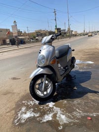 فلة للبيع الدراجة موديل 14 اصل كفالة الدراجة جديدة حيل مامشية قليل صلل...