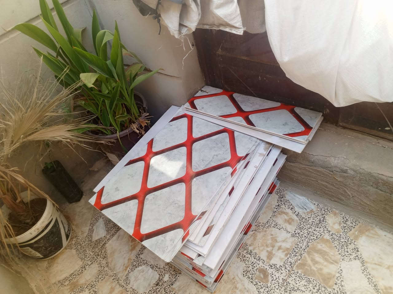 السلام عليكم شباب سقف ثانوي للبيع مال غرفه ديوانيه 50 قطعه


**إذا كنت صاحب هذا الإعلان وتريد حذفه لأي سبب، رجاءا أرسل رسالة إلى الدعم الفني**