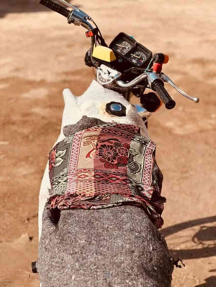 سلام عليكم. يالله. نامه شلامجه البيع  مديل.  23.طالعه. بل. 24. دراجه.  كلشي.  شغال. بيه مكينه  كفاله.  عامه. دراجه.  تخبل.    اوراق. اصولي.  دراجه. مدكوكه.  براد.  عوزه.  بس. رقم.   السعر. ب 1300 وبيه. مجال. الشراي. *********** هاذا. رقمي. اتصل. علي  وبيك. خير ودلل مكاني. قلعه سكر
