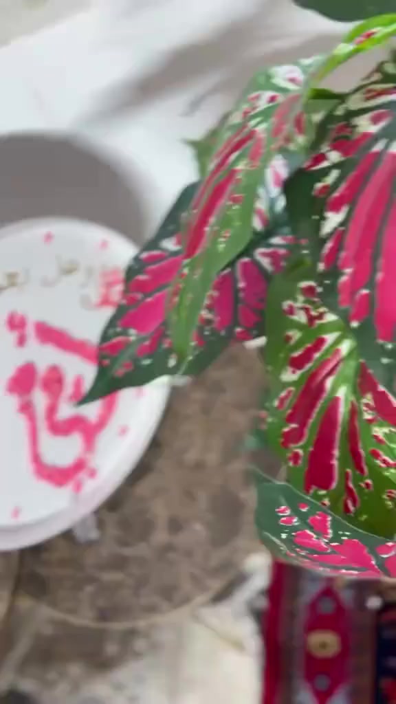 شغلي حسب الطلب يوجد خدمه توصيل


**إذا كنت صاحب هذا الإعلان وتريد حذفه لأي سبب، رجاءا أرسل رسالة إلى الدعم الفني**