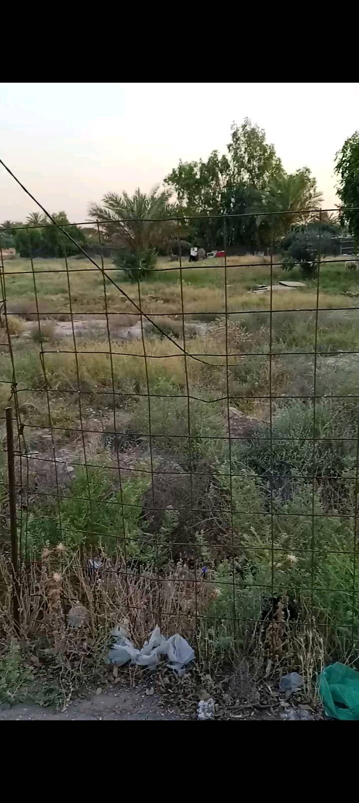 نص دونم للبيع الدوره هور رجب قرب الشارع الرئيسي كامل خدمات ماء كهرباء تبليط نت مولد ذهبي بسمي مباشر طابو زراعي سند25
سعر160بي مجال ستفسار ***********