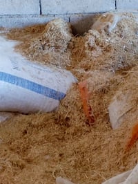 07719617140////07502184907