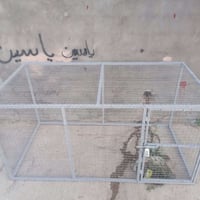 قفص • حي العروبة • عرض ٢م