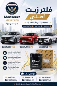 المنصورة • عرض خاص • شحن لجميع المحافظات